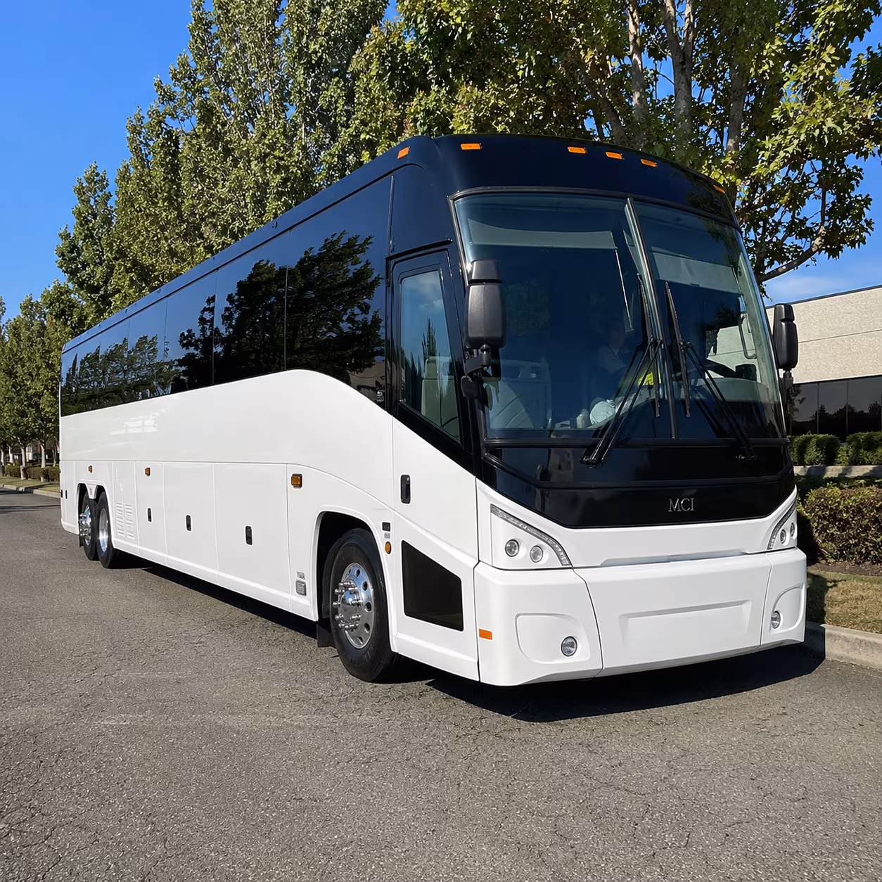 davie 50 passenger charter bus