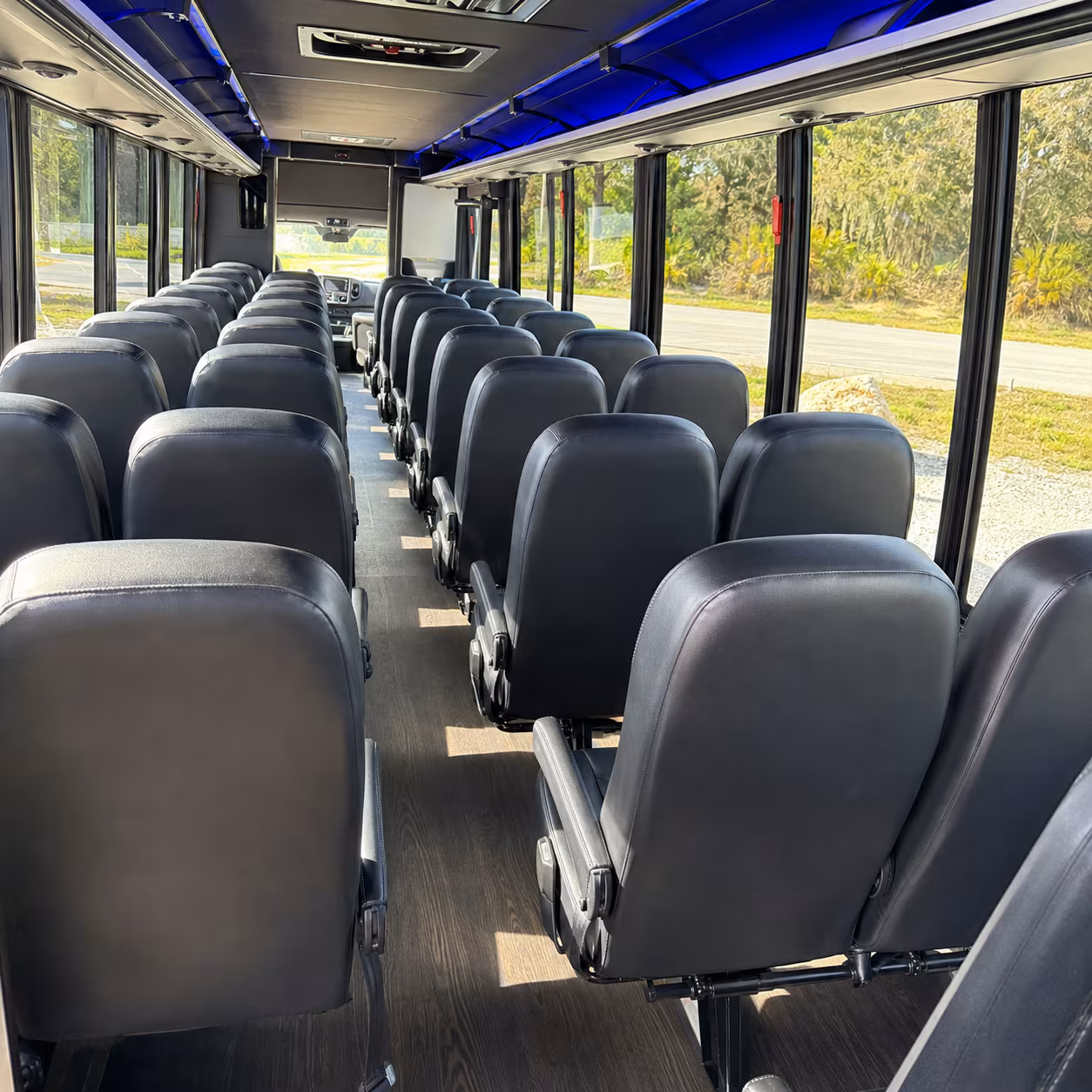 davie wine tour transportation