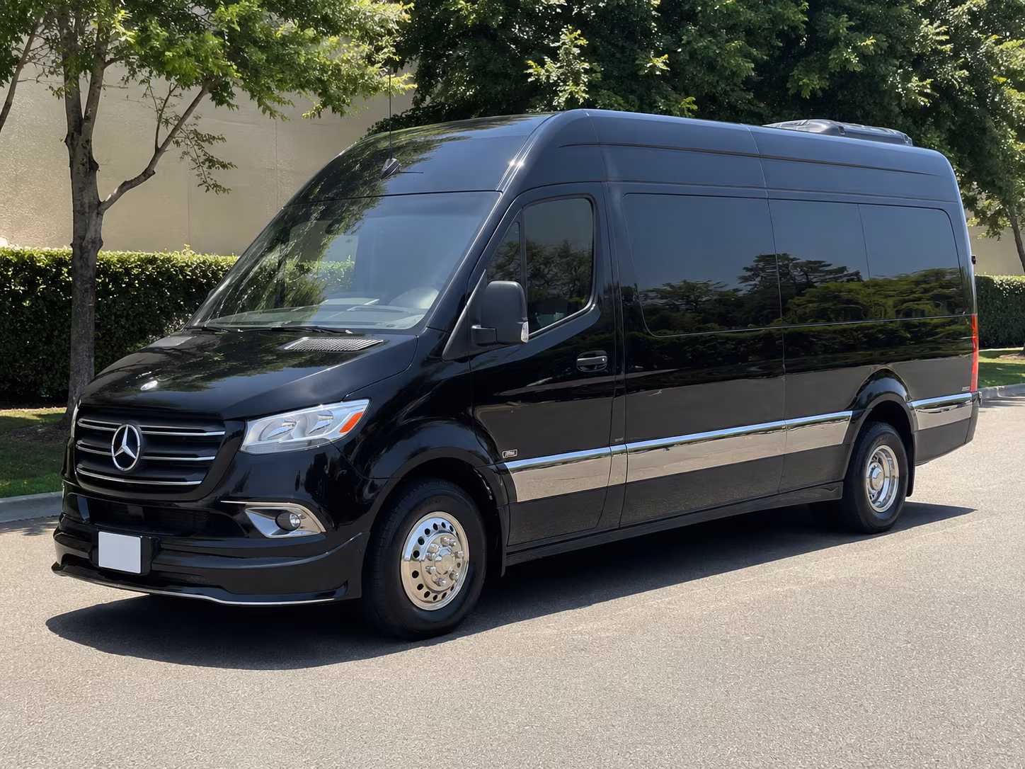 secure transportation for your next birthday 3